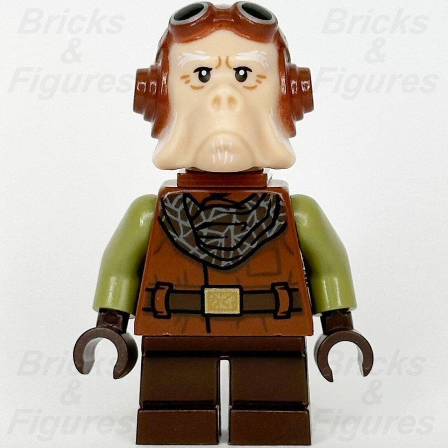 LEGO Star Wars Kuiil Minifigure The Mandalorian Ugnaught Backpack 75331 sw1244 - Bricks & Figures