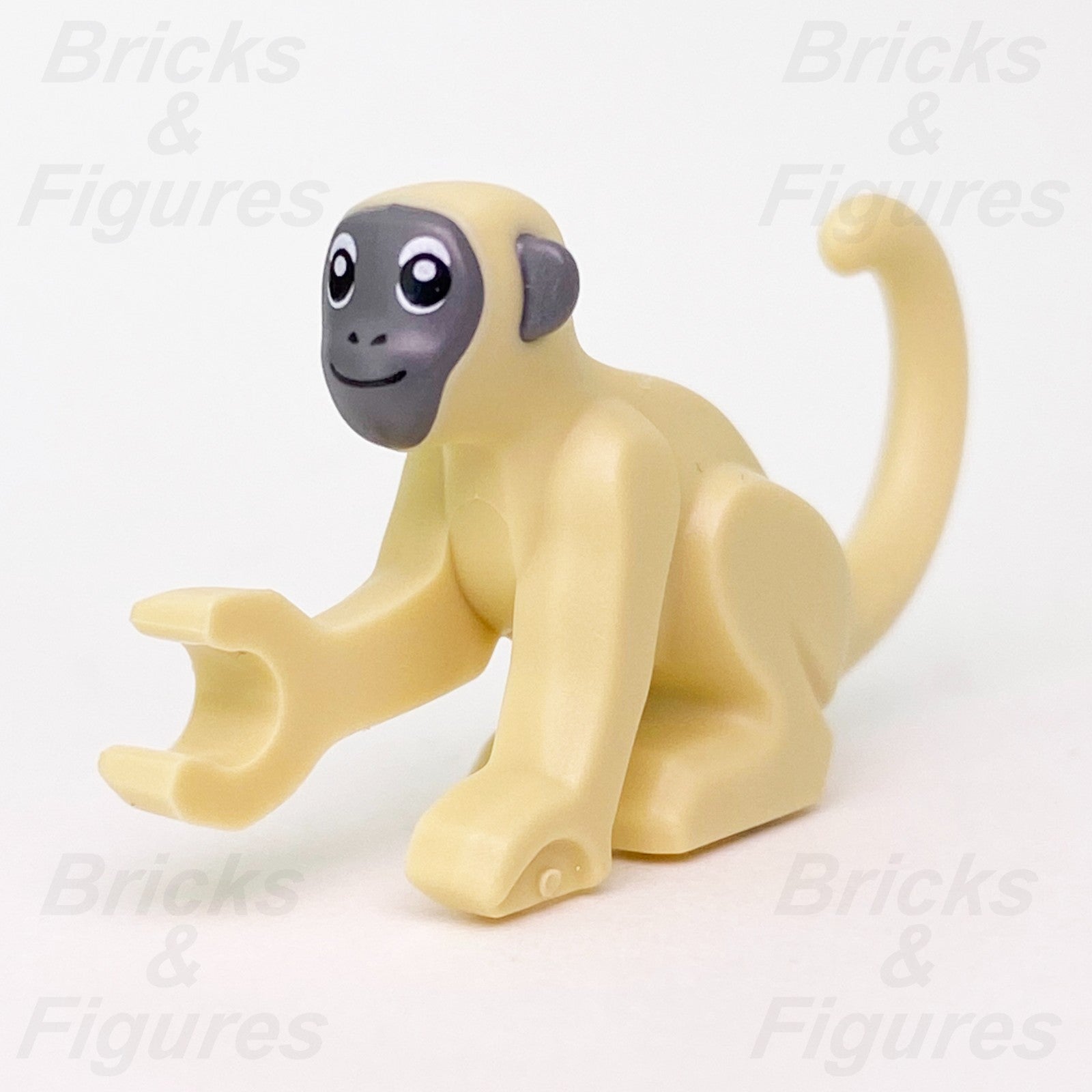 epi