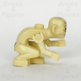 epi