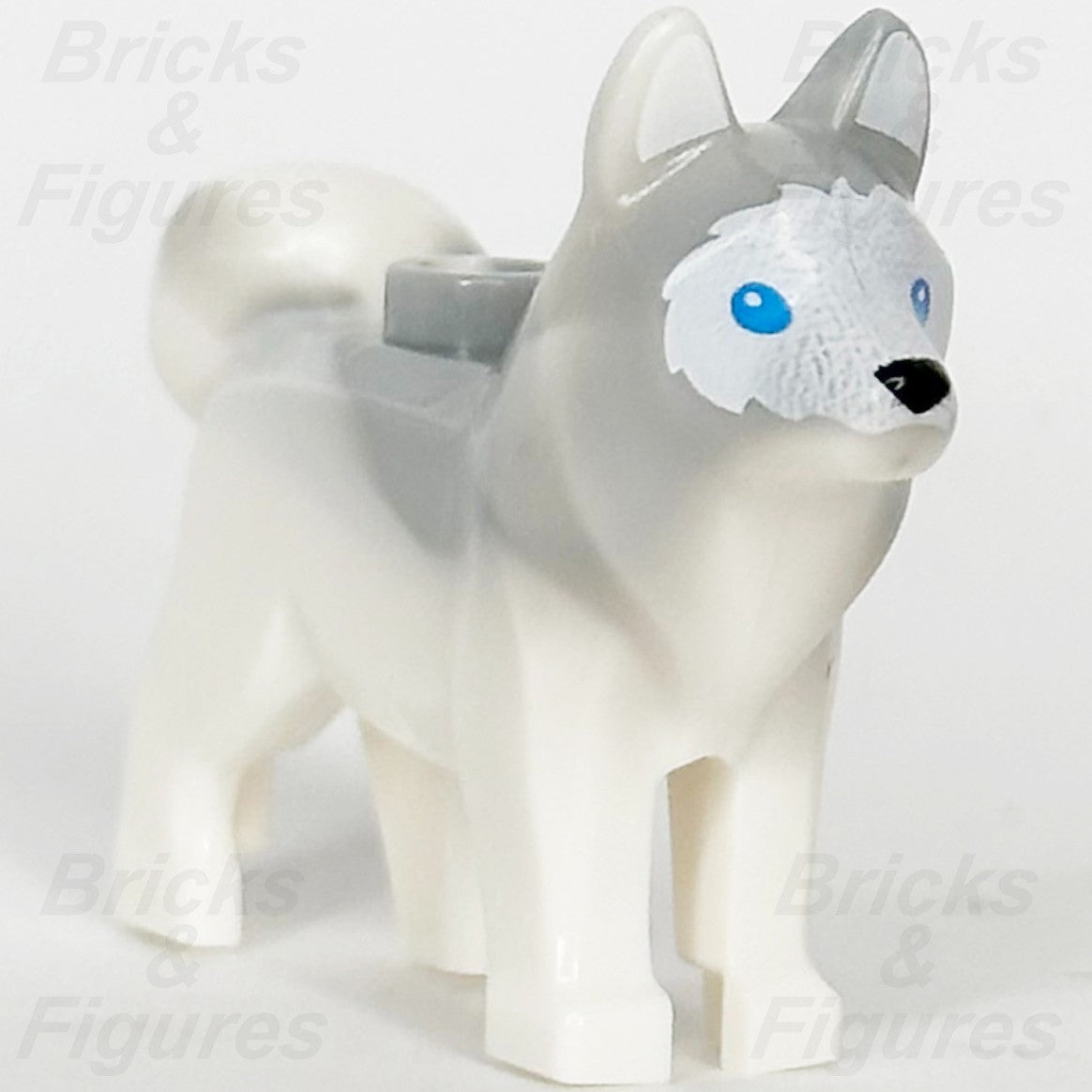 LEGO Husky Dog Animal Minifigure Part Blue Eyes MINIFIGURES 71032 Series 220