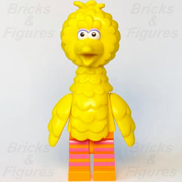 epi