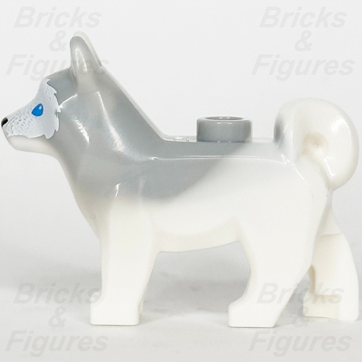 LEGO Husky Dog Animal Minifigure Part Blue Eyes MINIFIGURES 71032 Series 222