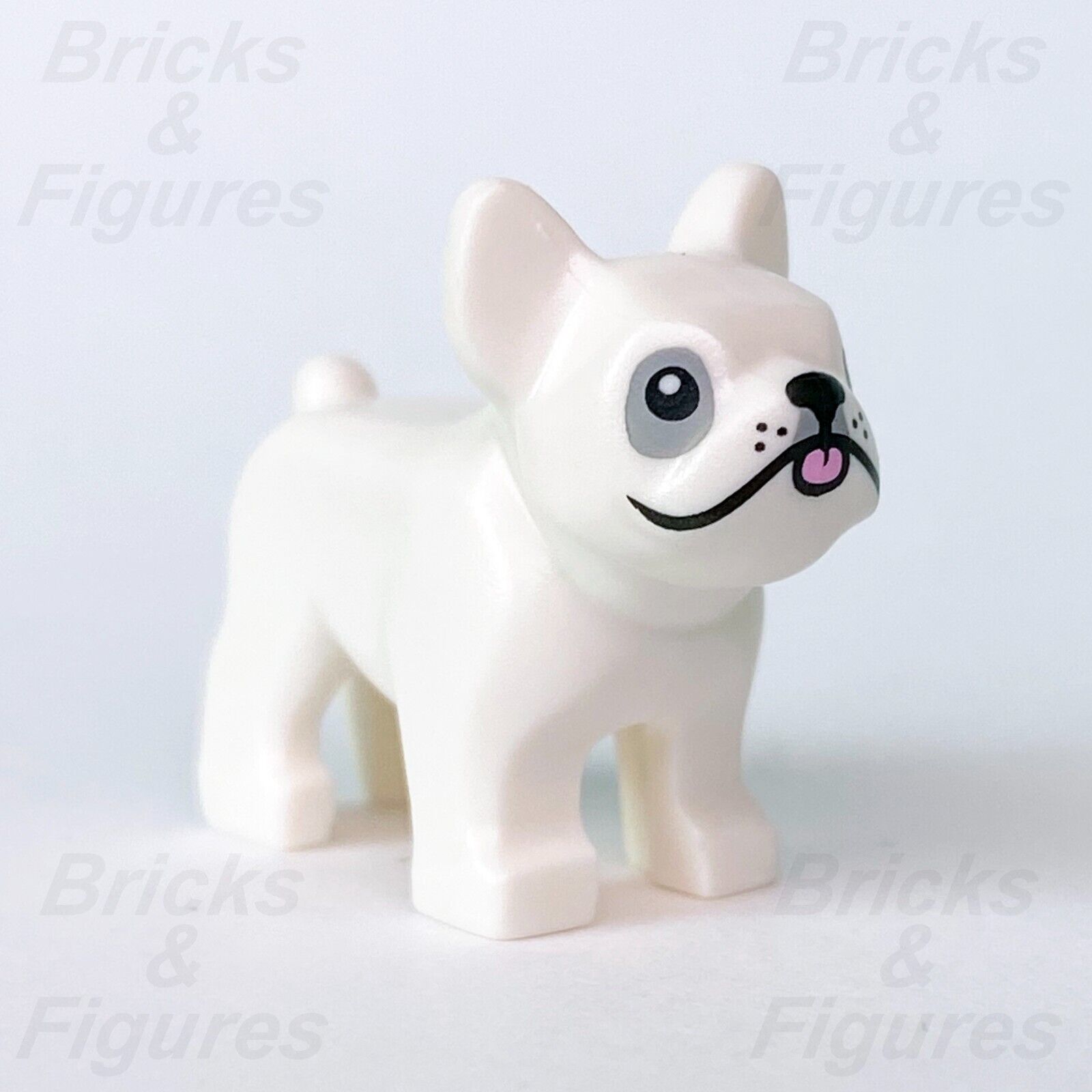 LEGO® Collectible Minifigures French Bulldog Eye Patch Dog Animal Part 71025 - Bricks & Figures