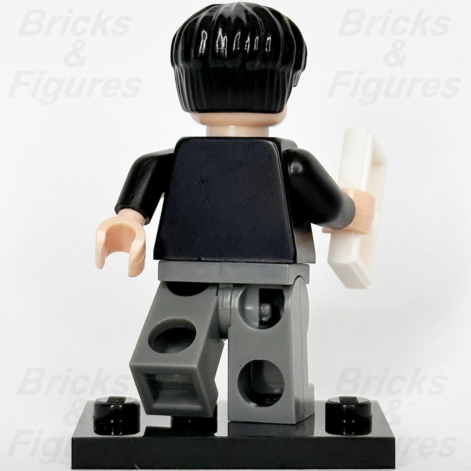 LEGO Harry Potter Credence Barebone Minifigure Series 1 71022 colhp-21 Wizard2