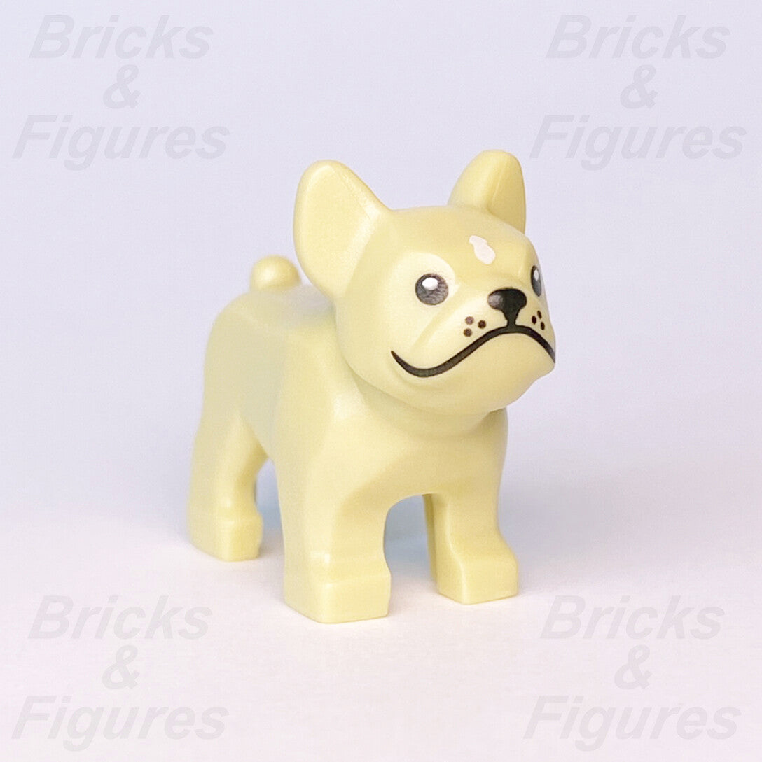 epi