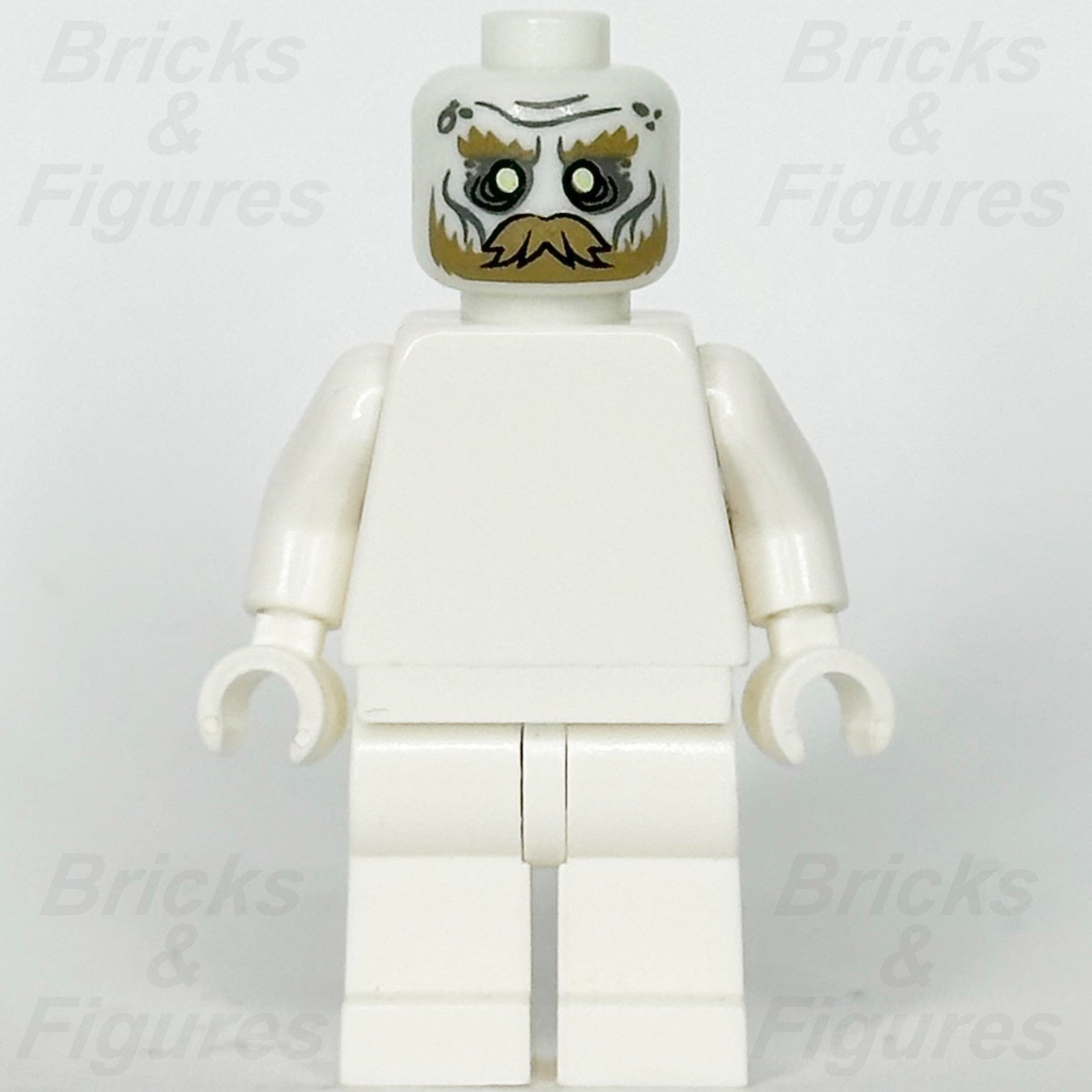 LEGO The Lord of the Rings Soldier of the Dead Minifigure Head Part Glow 790084