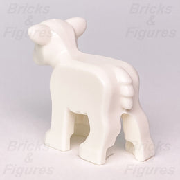 productimage2