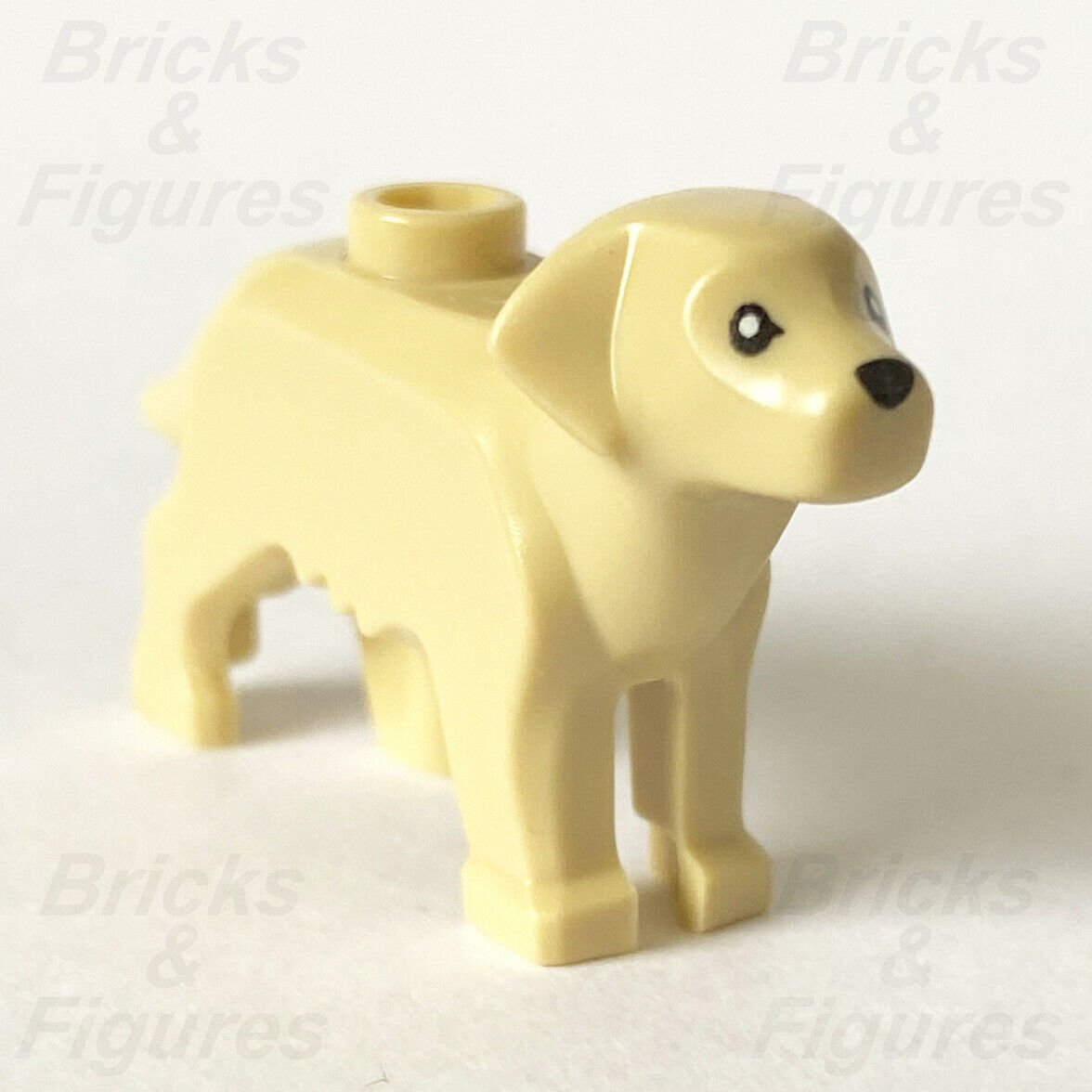 New City Town LEGO Labrador / Golden Retriever Dog Animal Part from set 60291 - Bricks & Figures