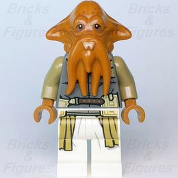 Star Wars LEGO Quarren Squid Head The Book of Boba Fett Minifigure 75326 sw1195 - Bricks & Figures
