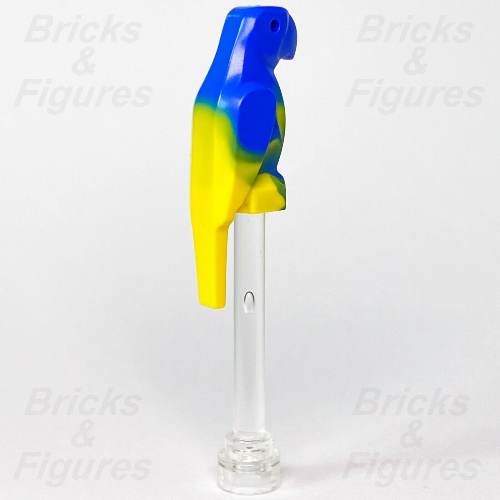 Town City Recreation LEGO® Parrot Bird Blue & Yellow Pattern 60267 21322 40346 - Bricks & Figures